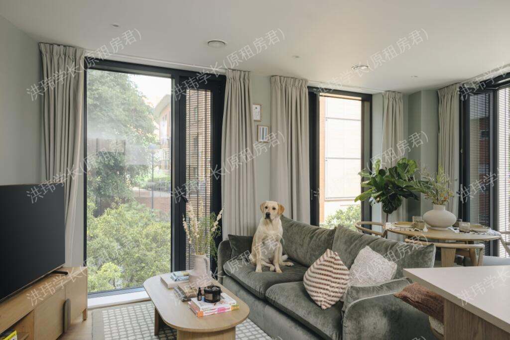 rooms picture