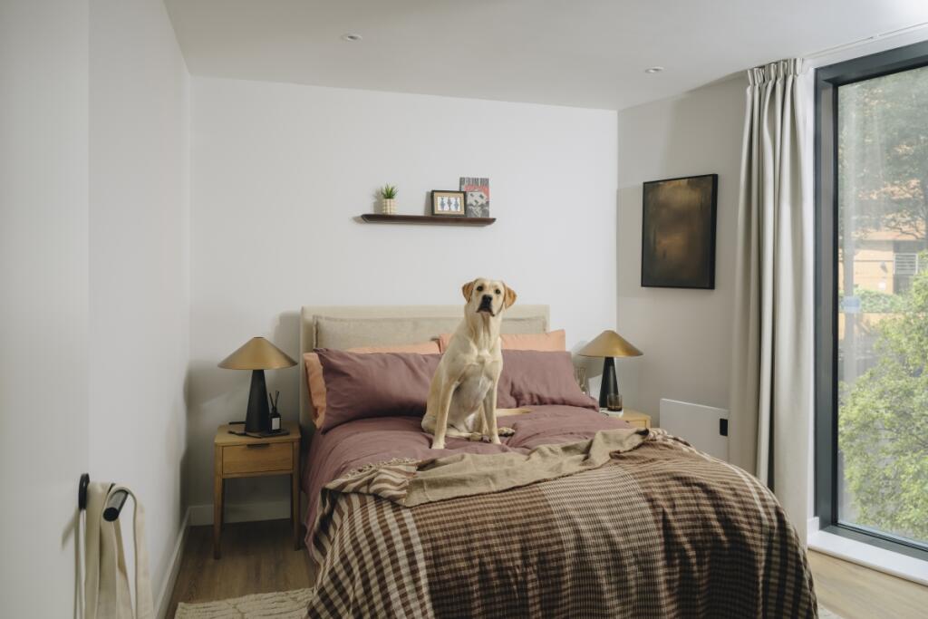 room picture