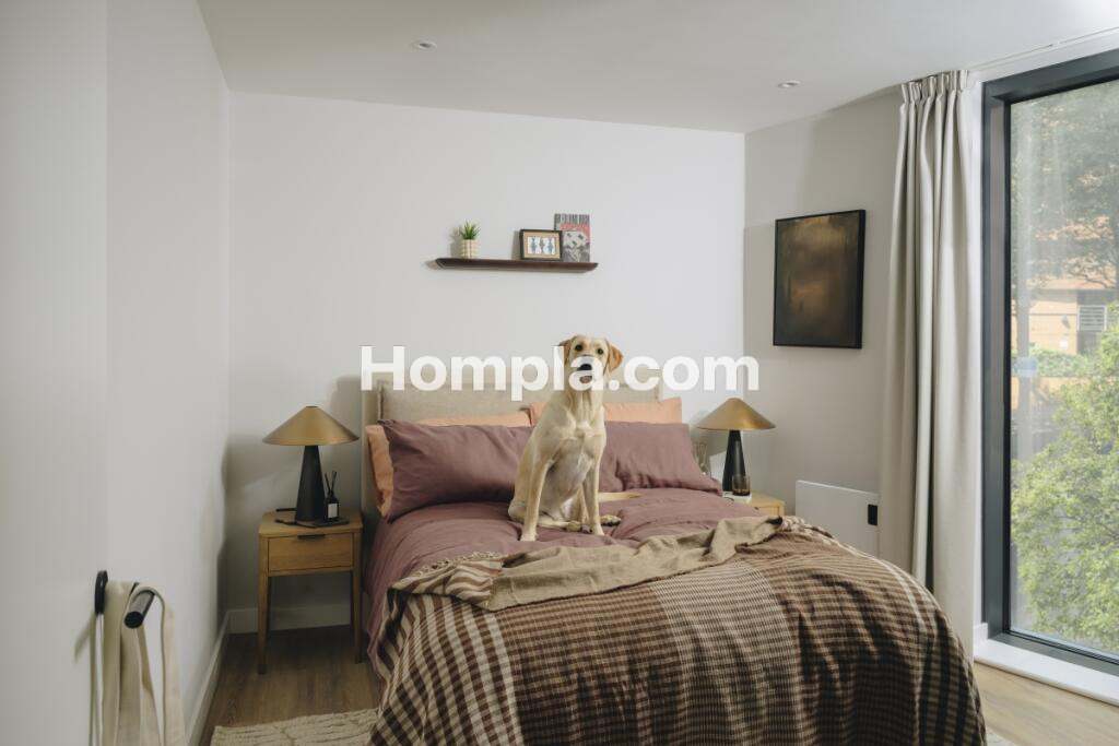 room picture