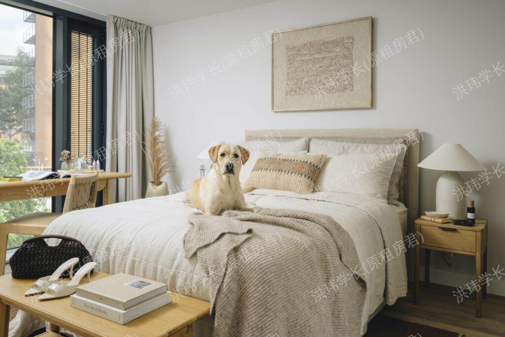 room picture