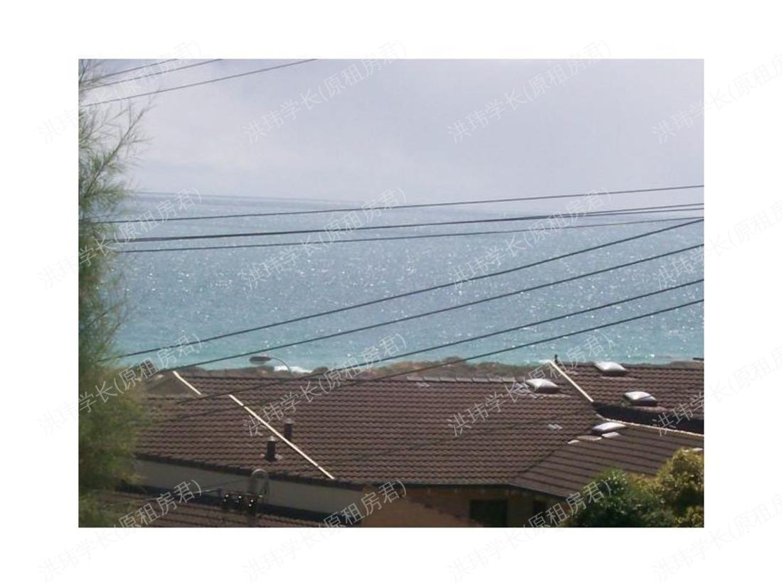 13 ventnor street公寓