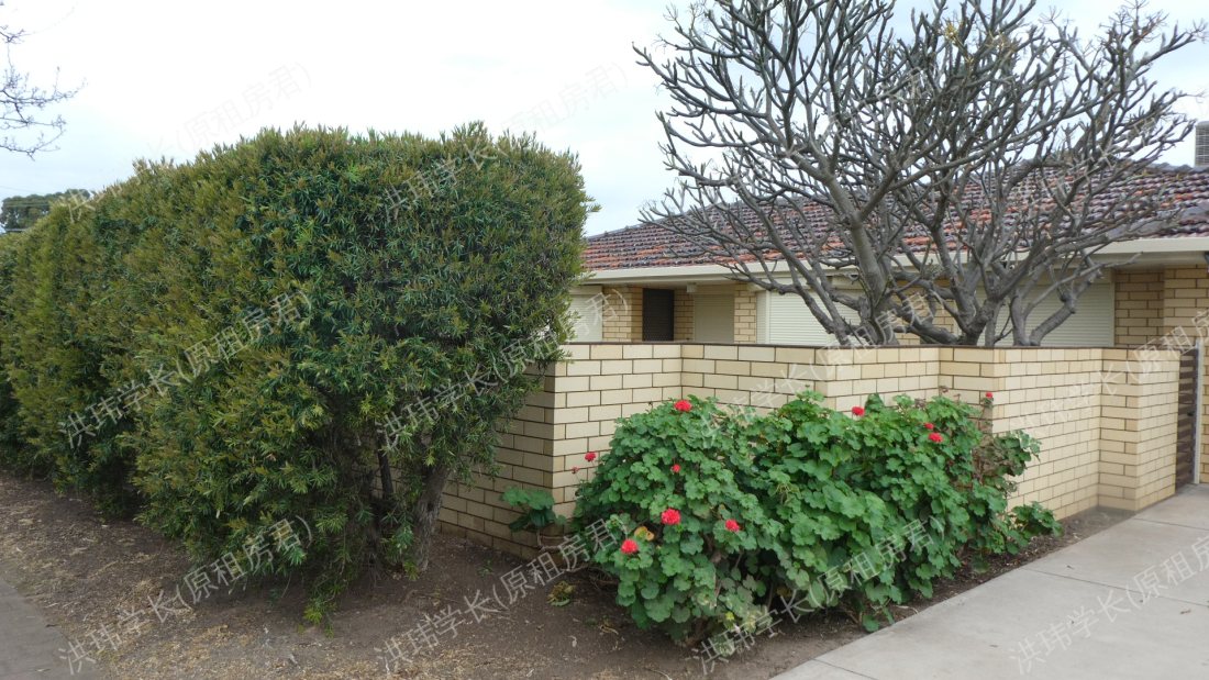 365 morphett road公寓
