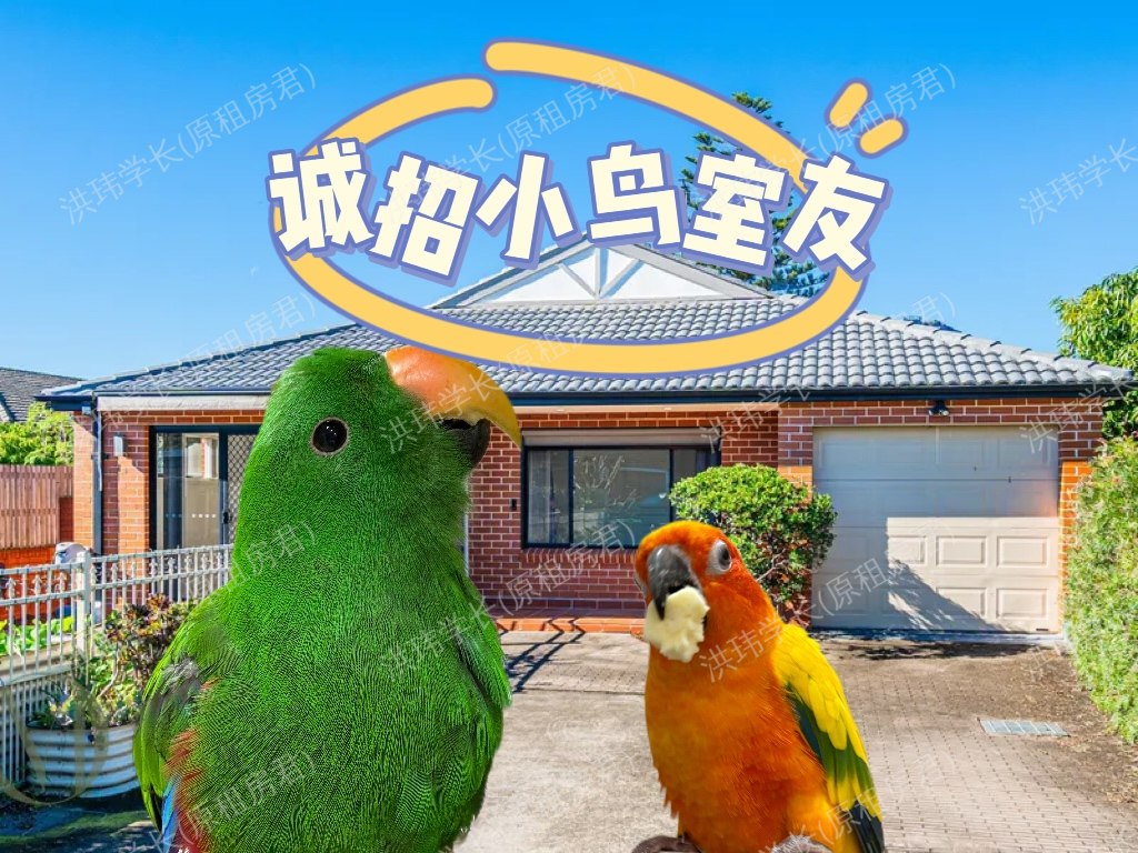 House公寓