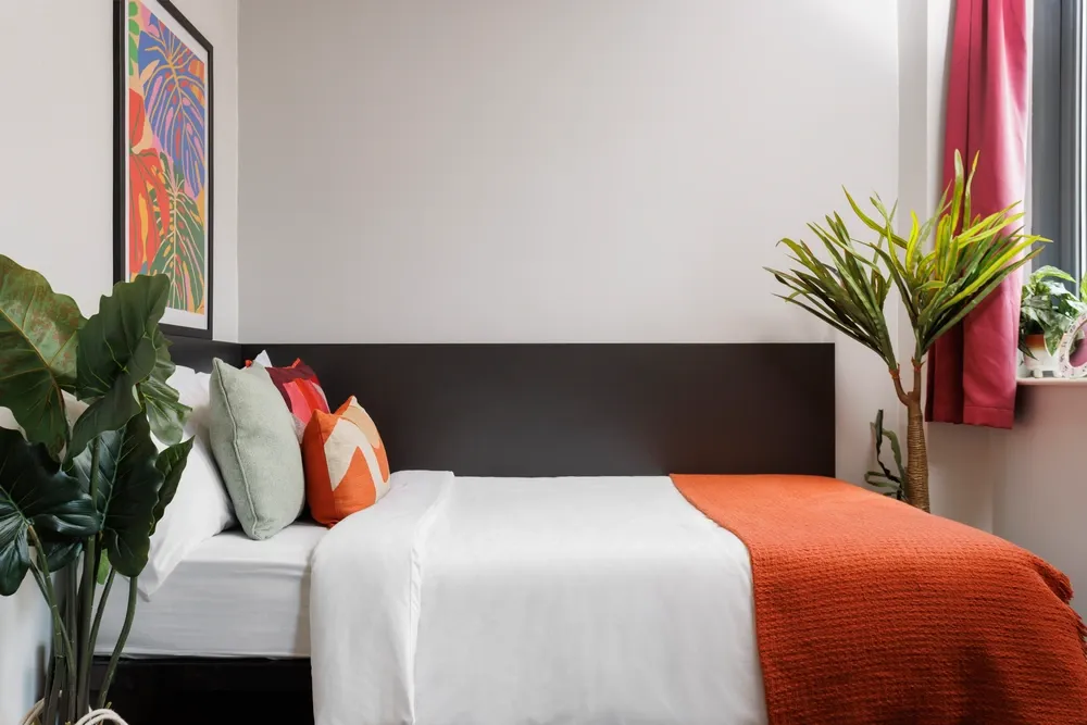room picture