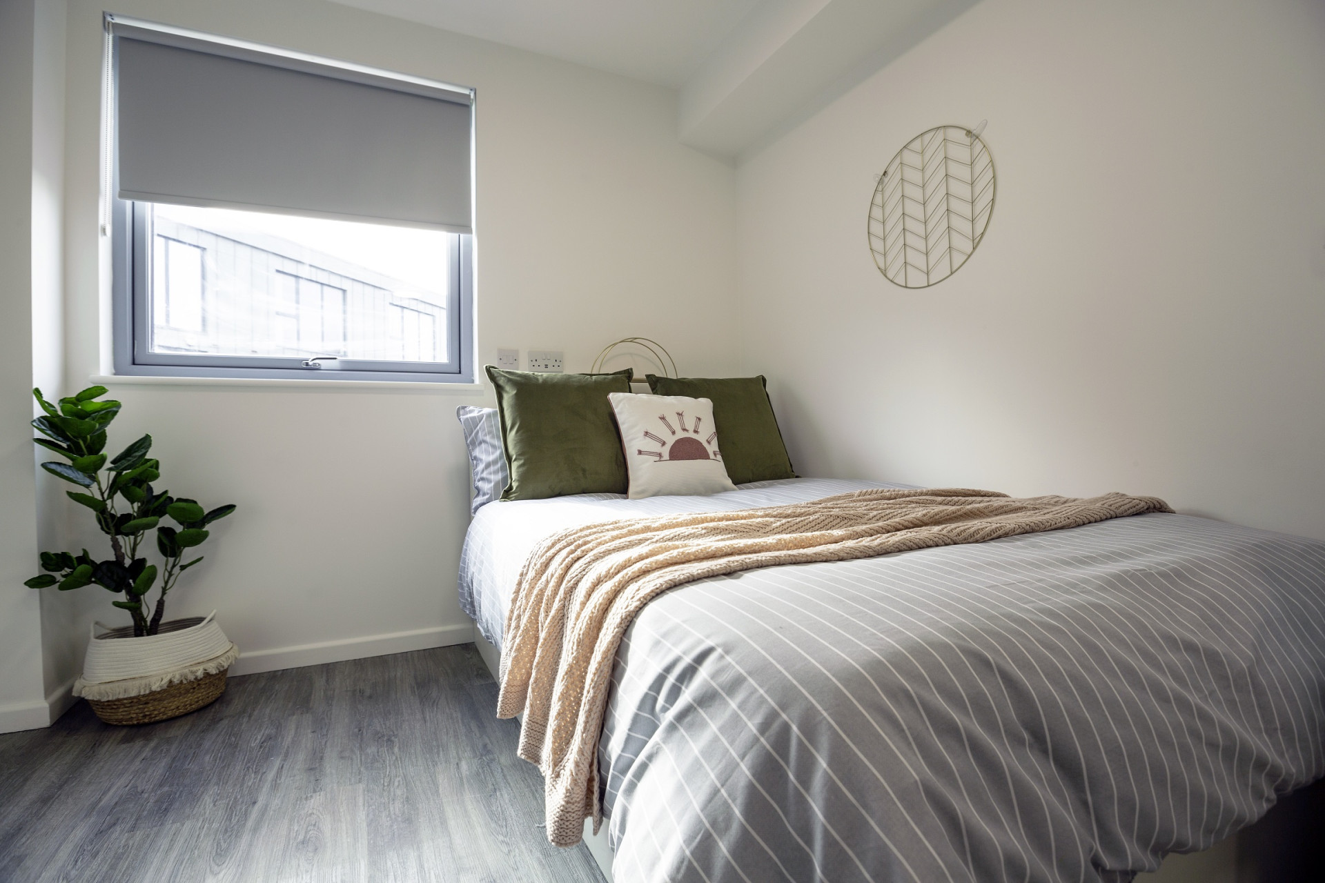 room picture