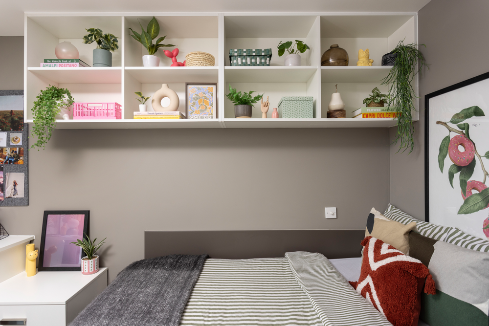 room picture
