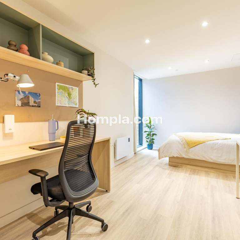 room picture