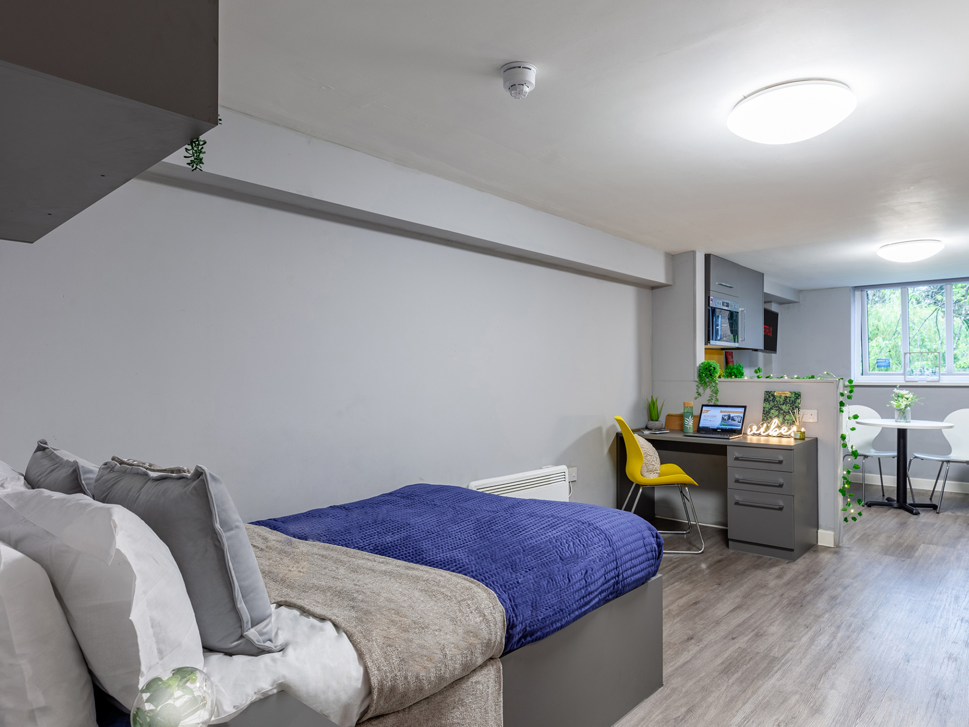 room picture