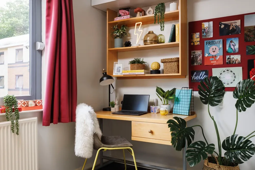 room picture