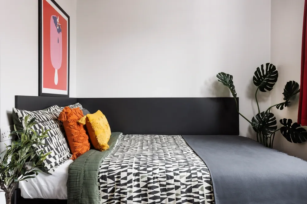 room picture