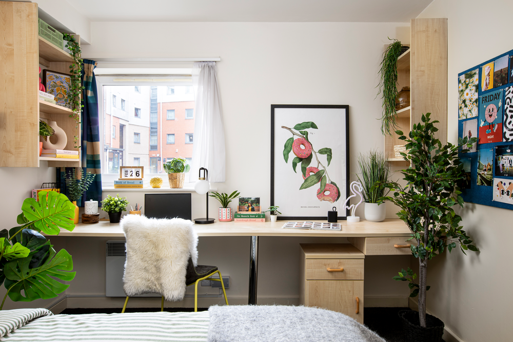 room picture
