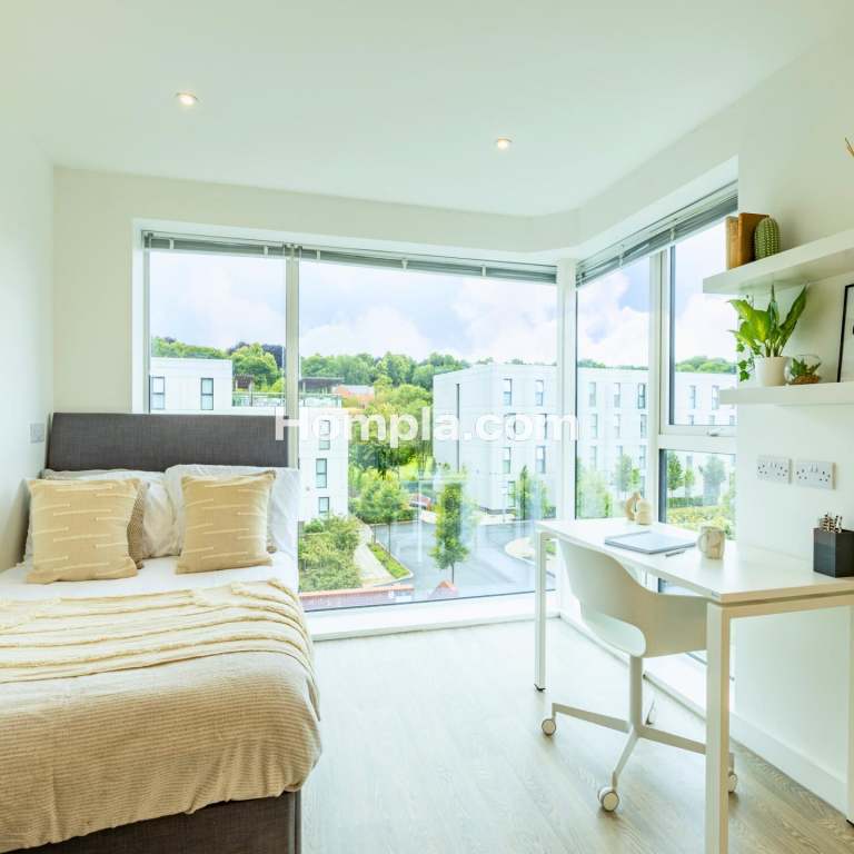 room picture