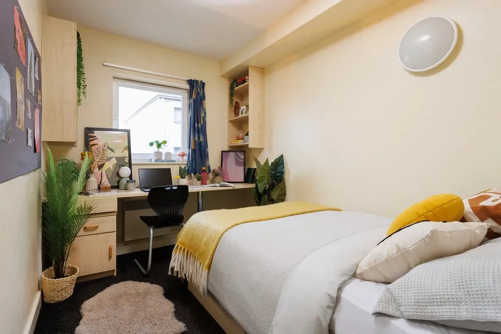 room picture