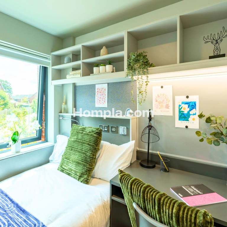 room picture