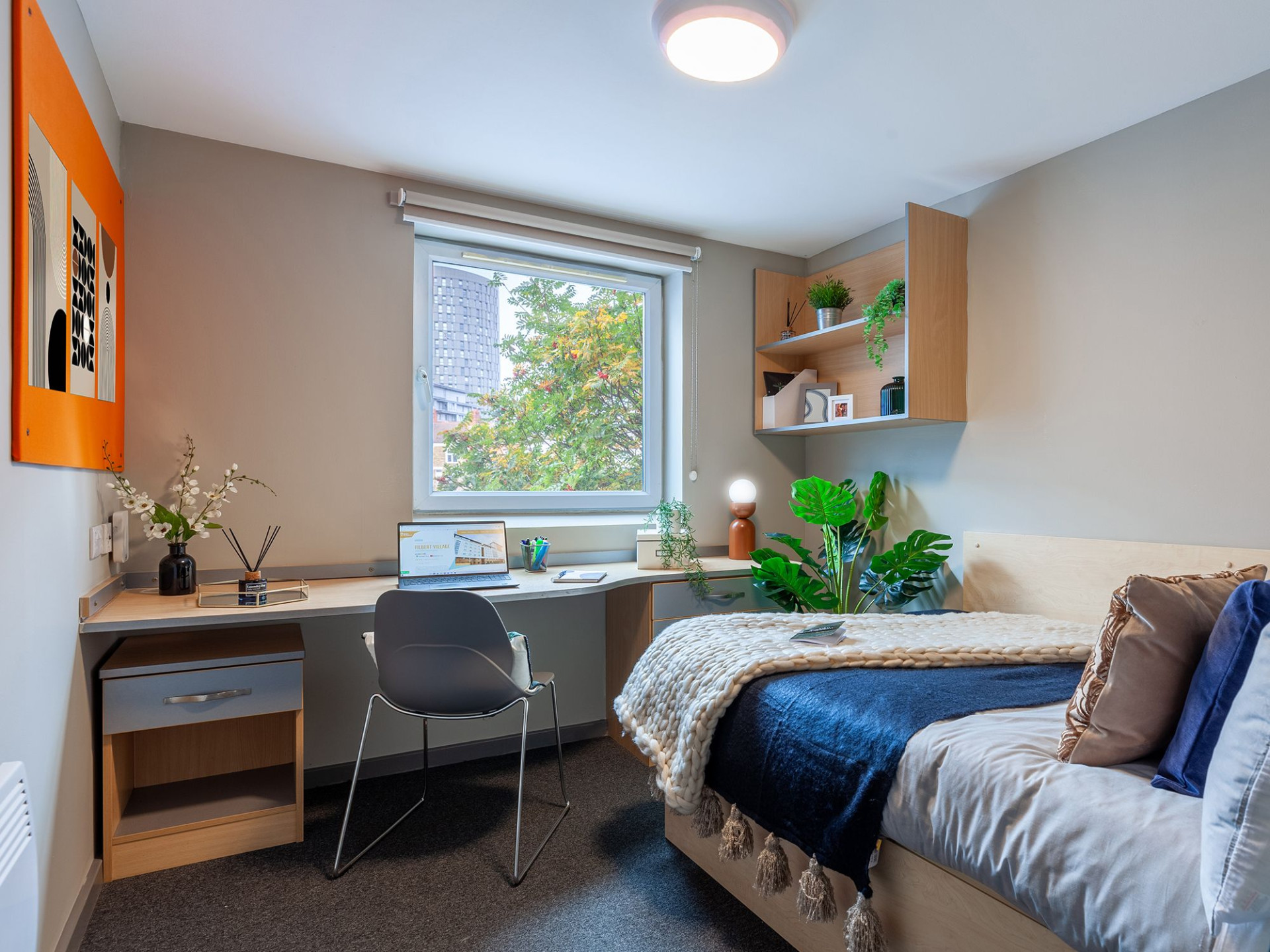 room picture