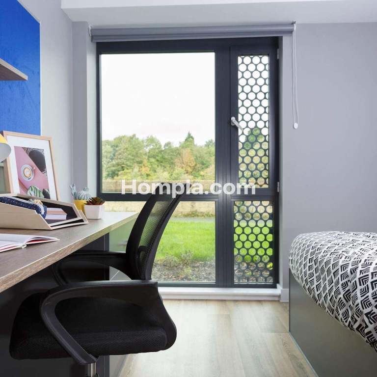 room picture