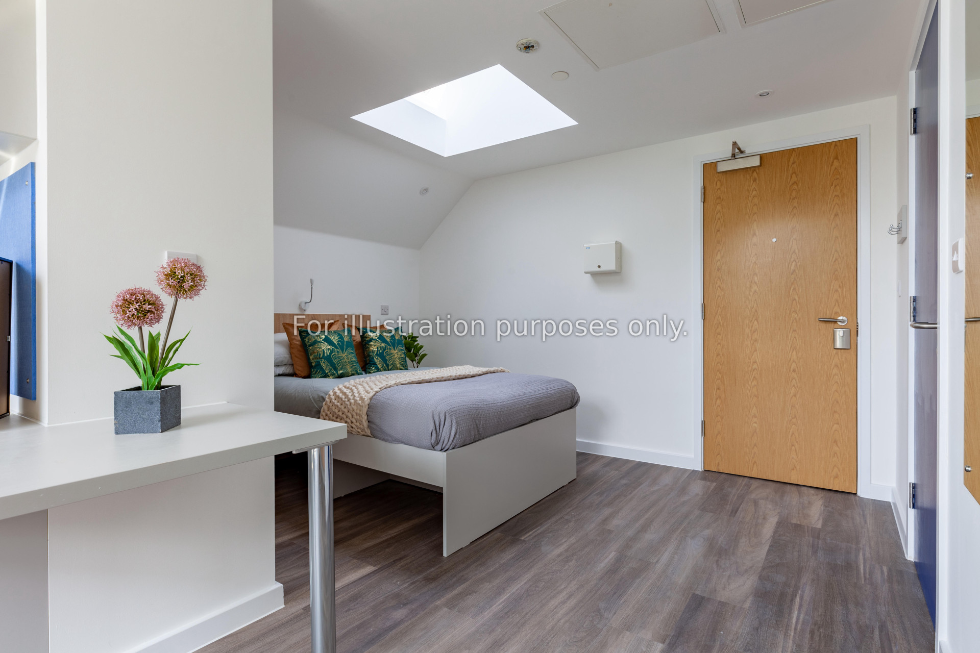 room picture