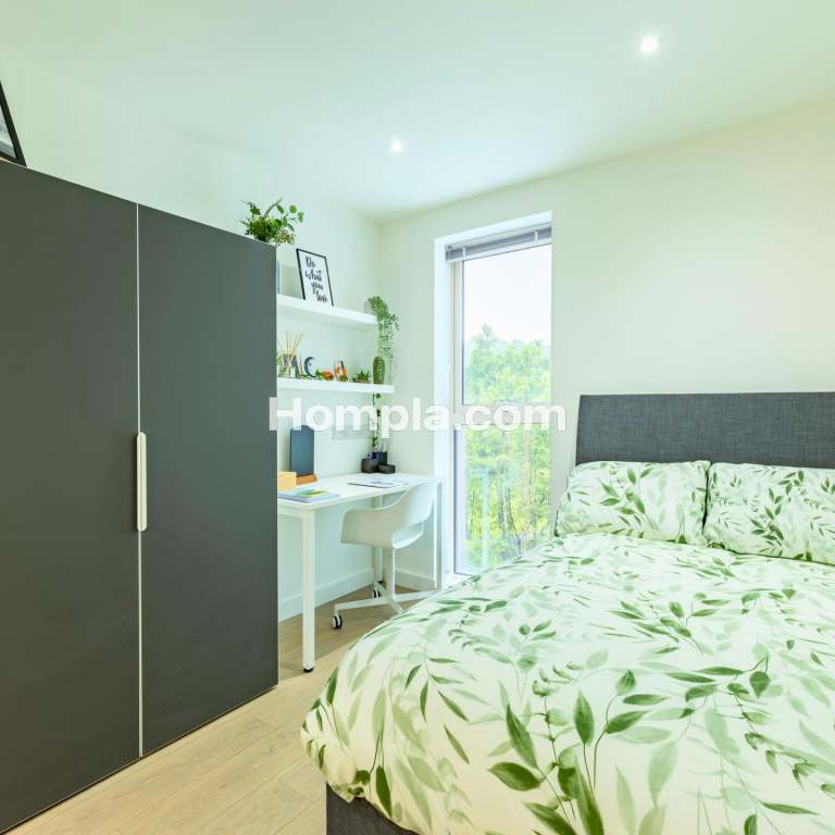 room picture