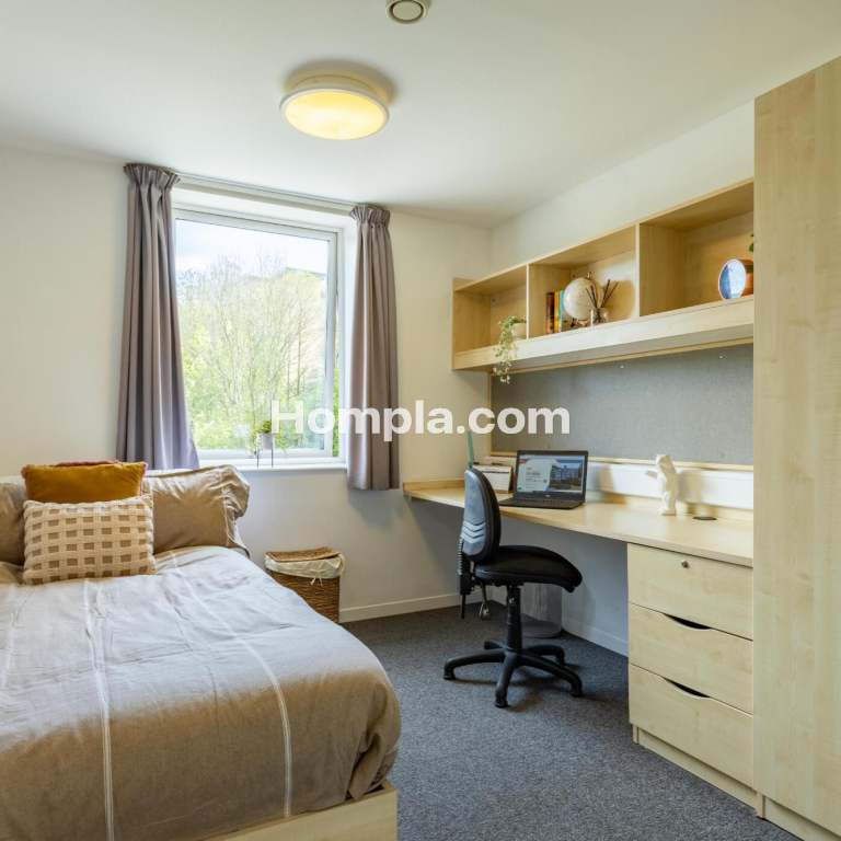 room picture