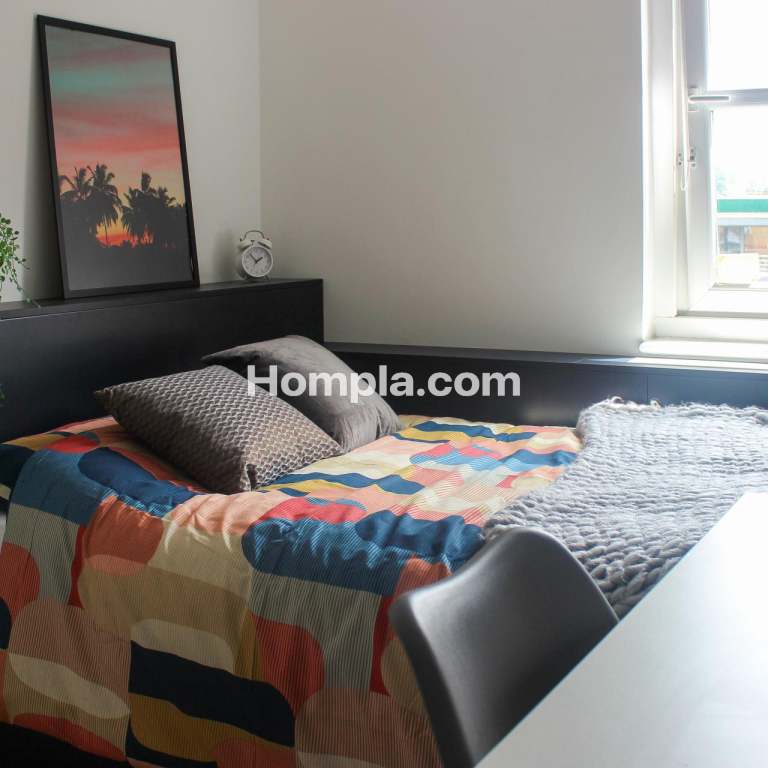 room picture