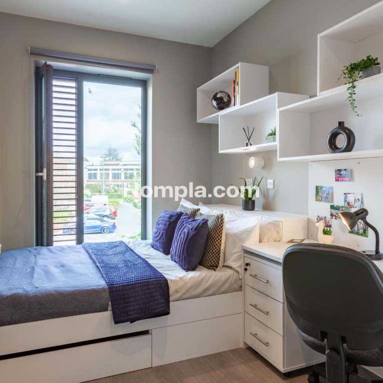 room picture