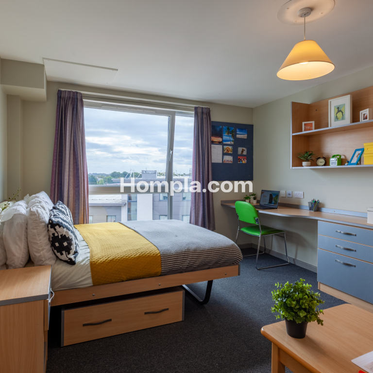 room picture