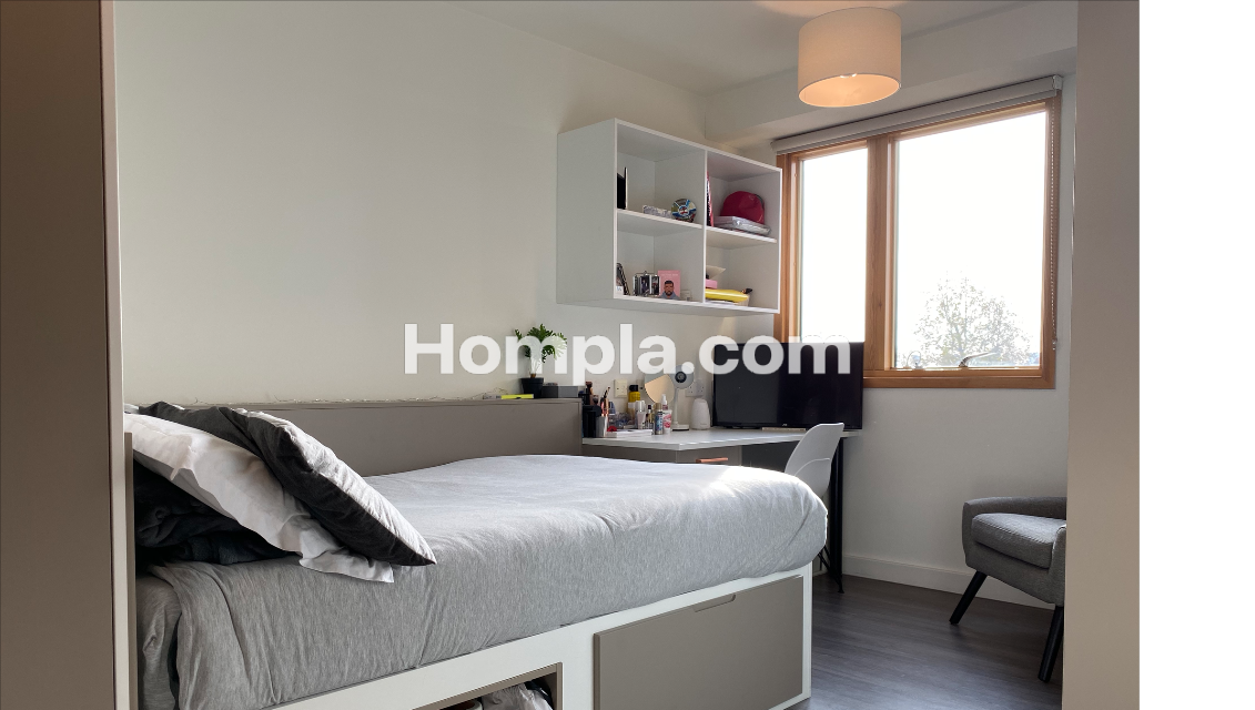 room picture