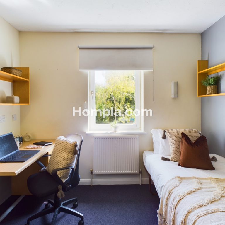 room picture