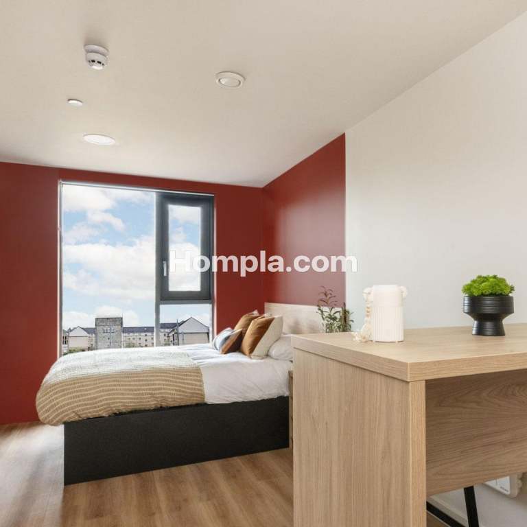 room picture