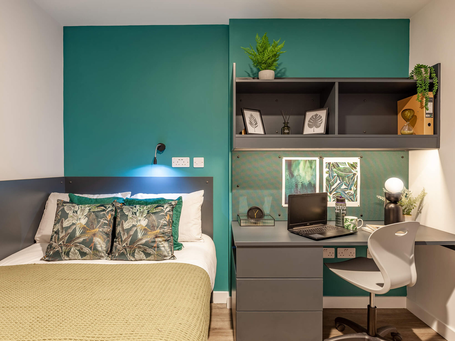 room picture