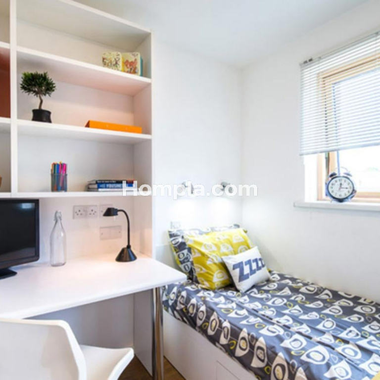 room picture