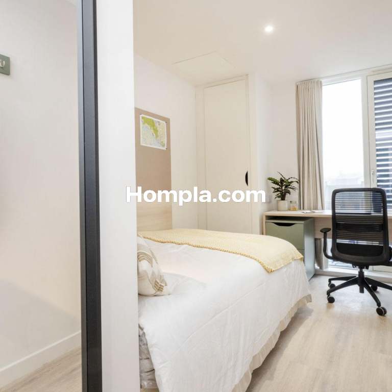 room picture