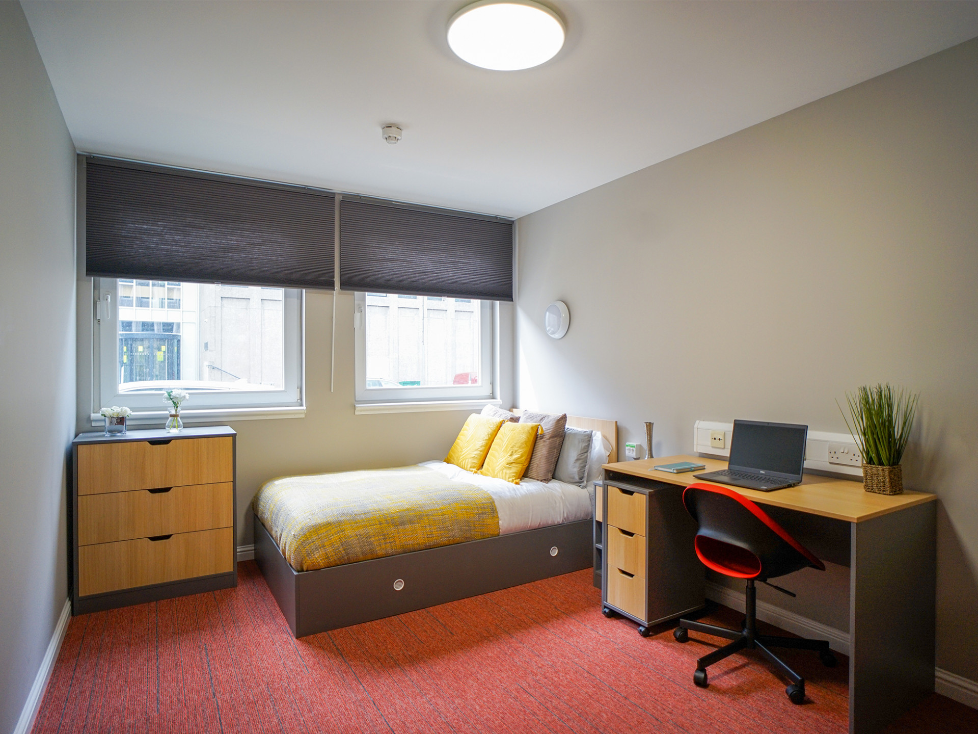 room picture