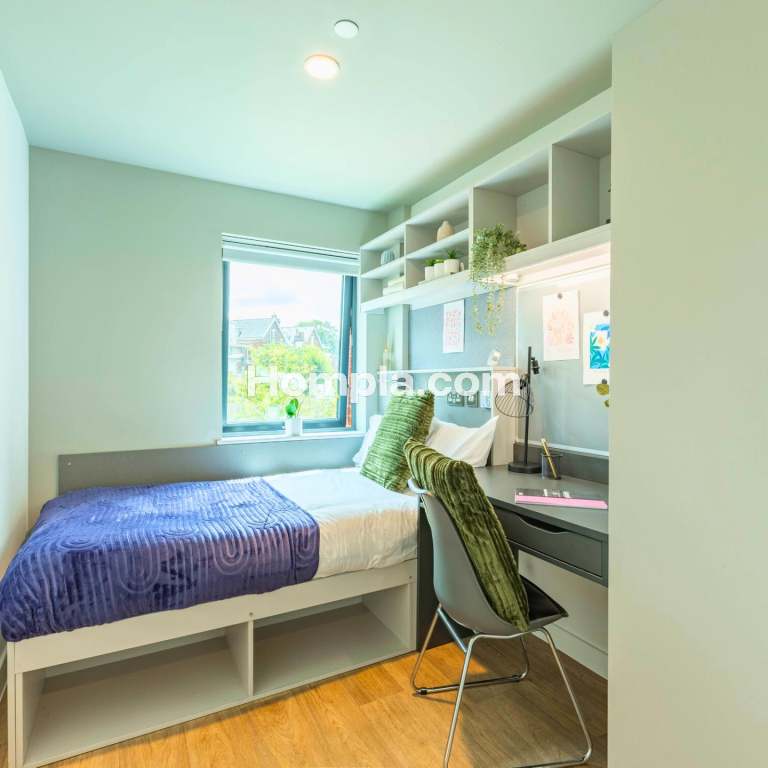 room picture