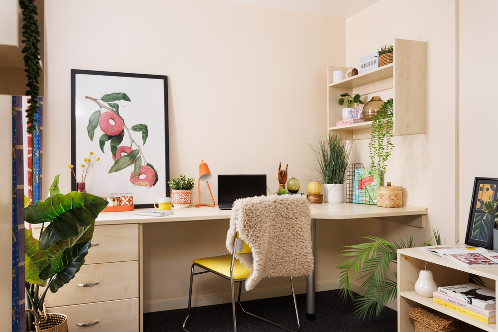room picture