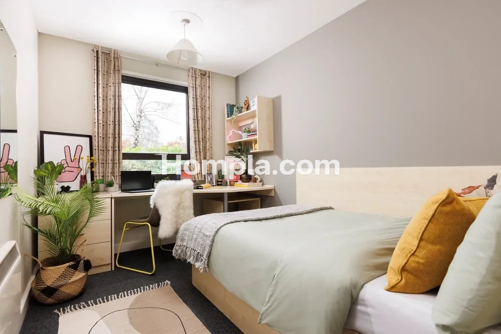 room picture