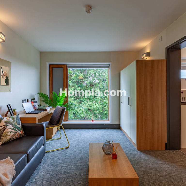 room picture