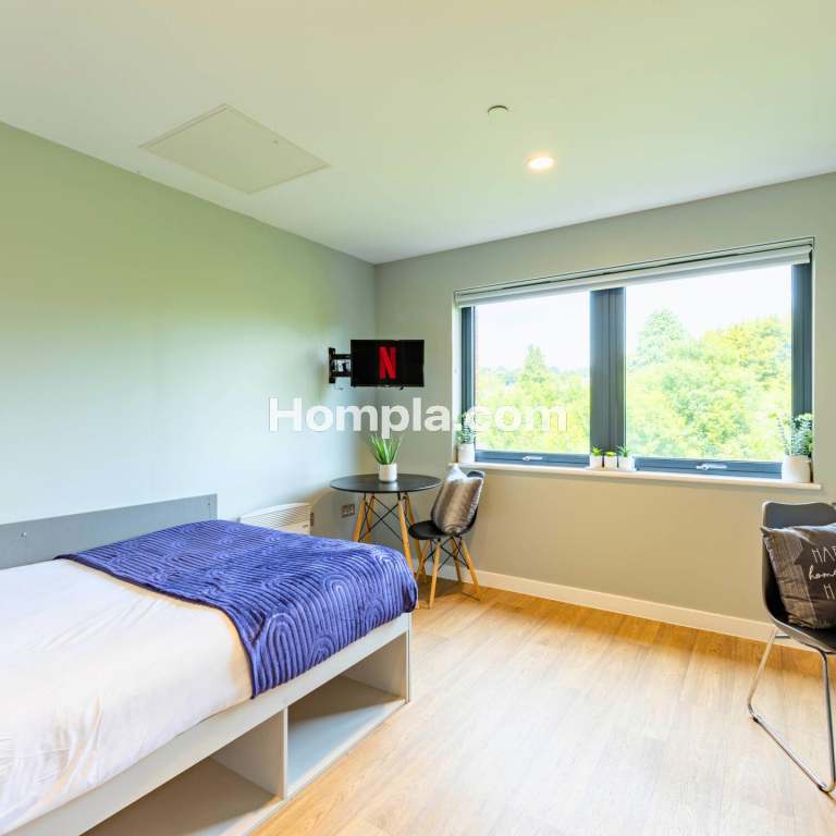 room picture
