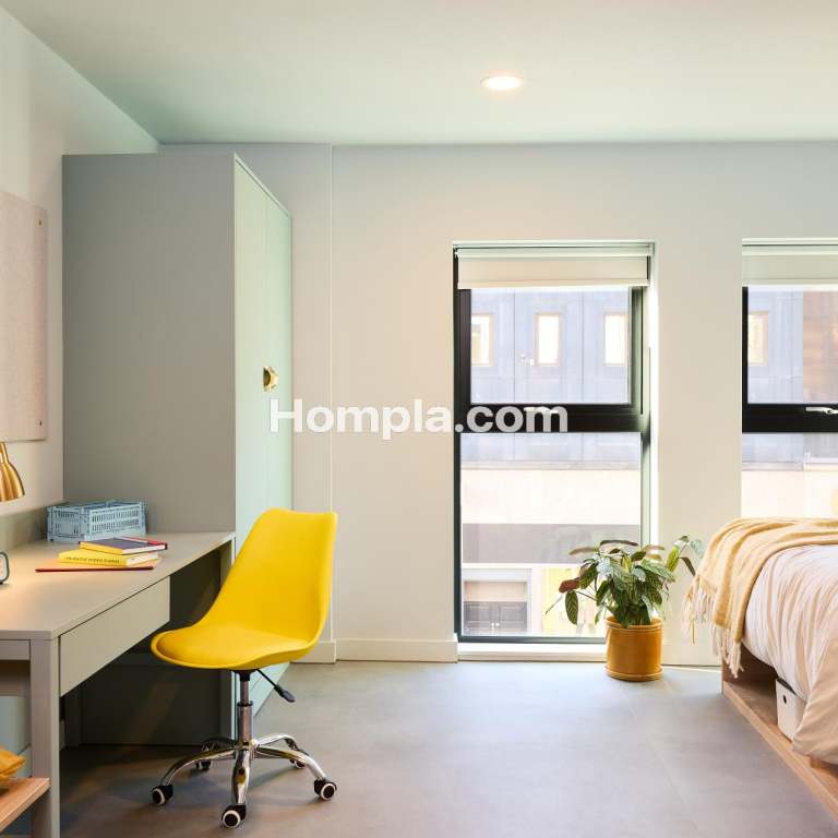 room picture