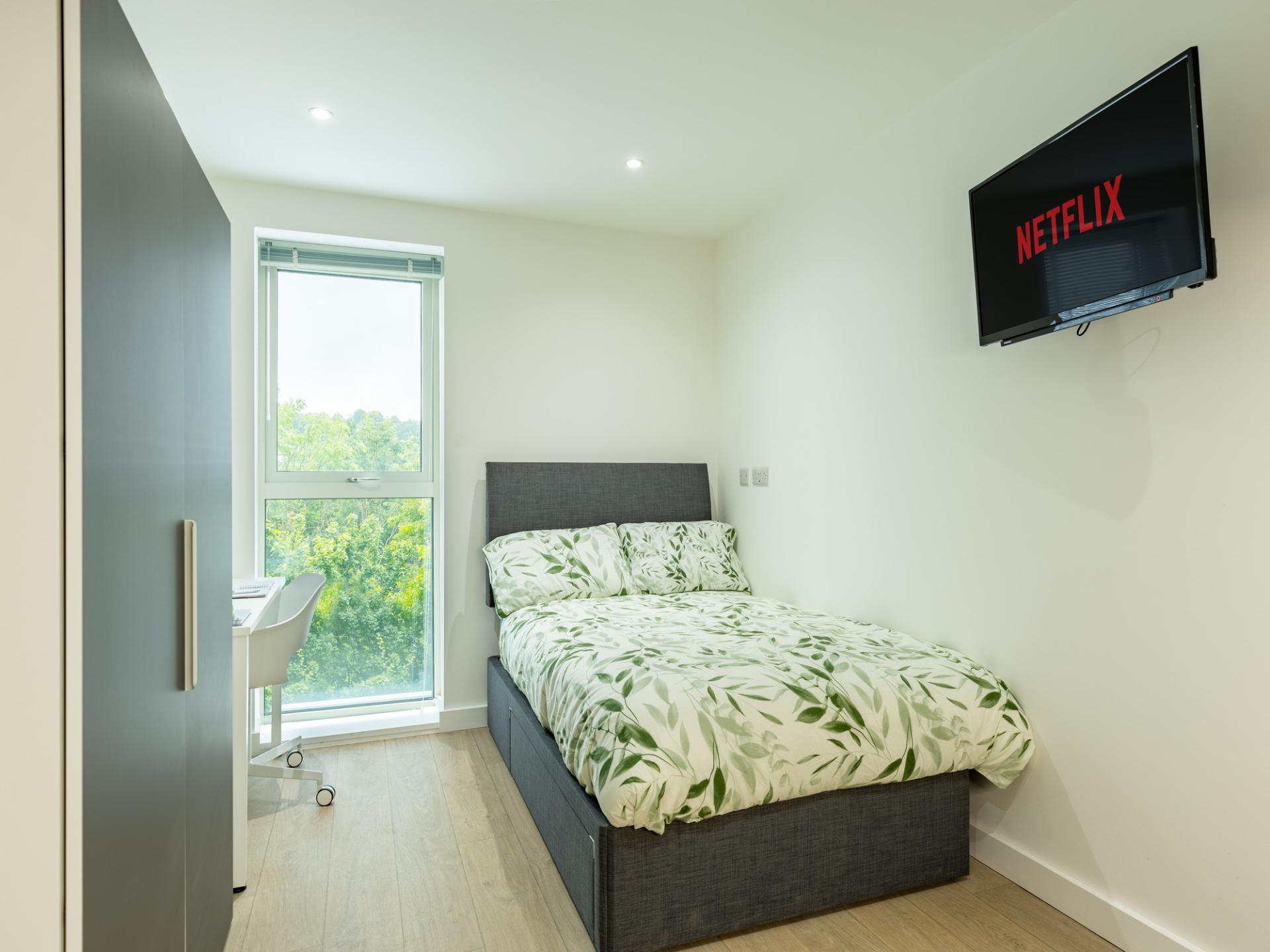 room picture