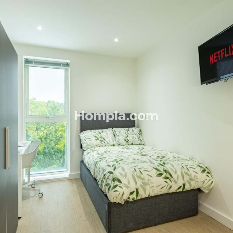 room picture