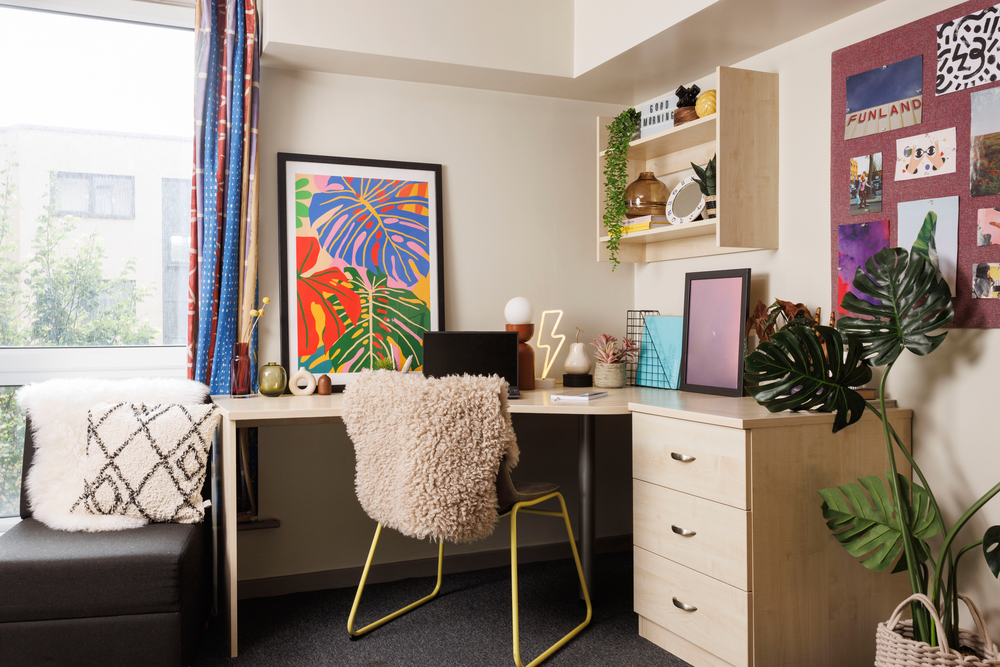 room picture