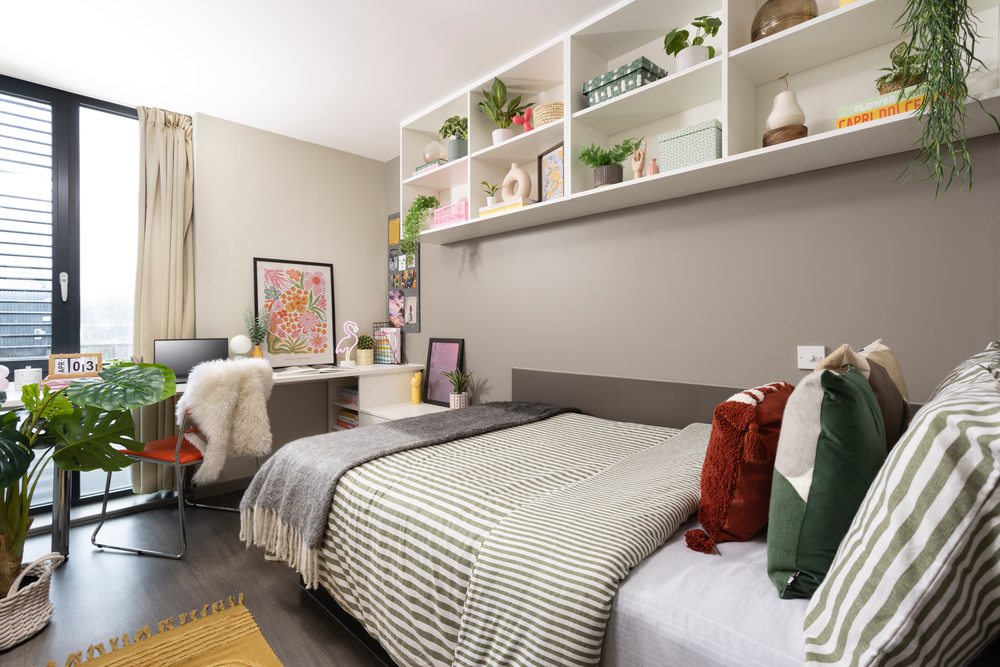 room picture