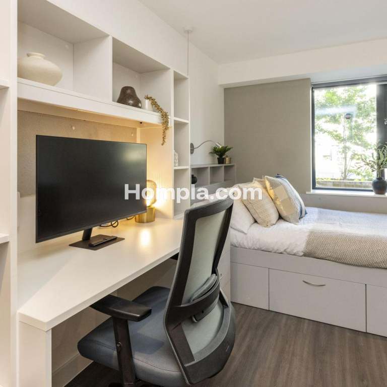 room picture