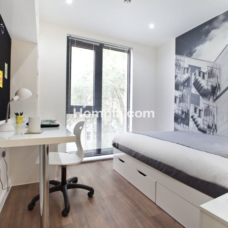 room picture