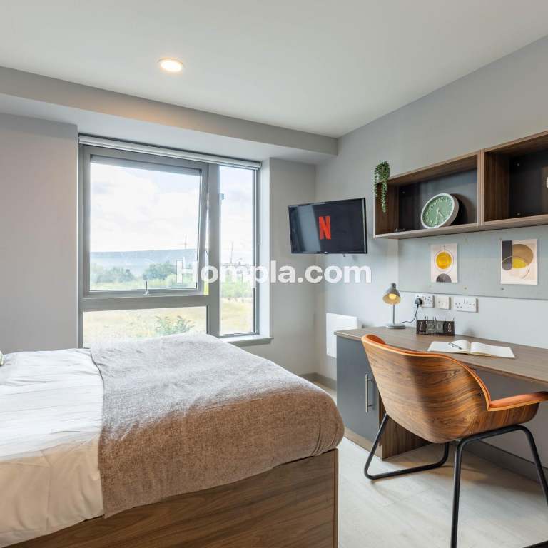 room picture