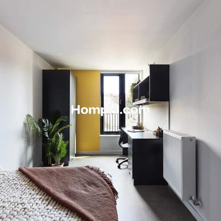 room picture