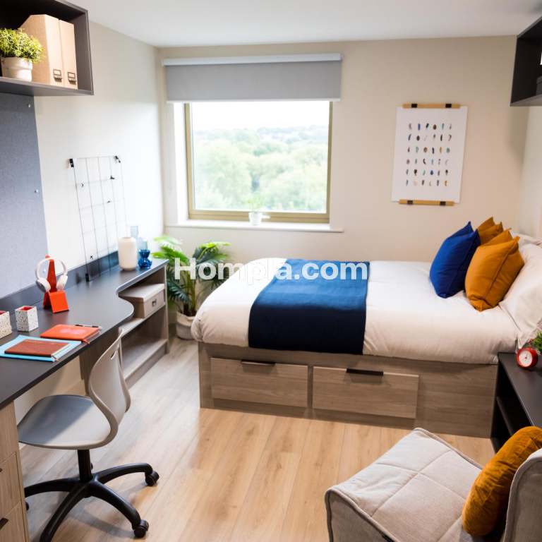 room picture