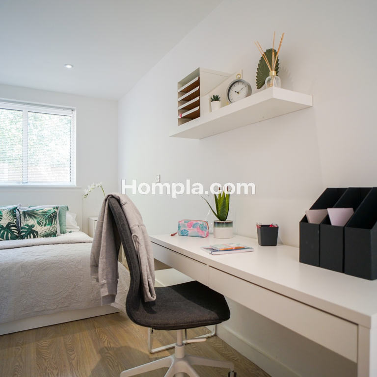 room picture