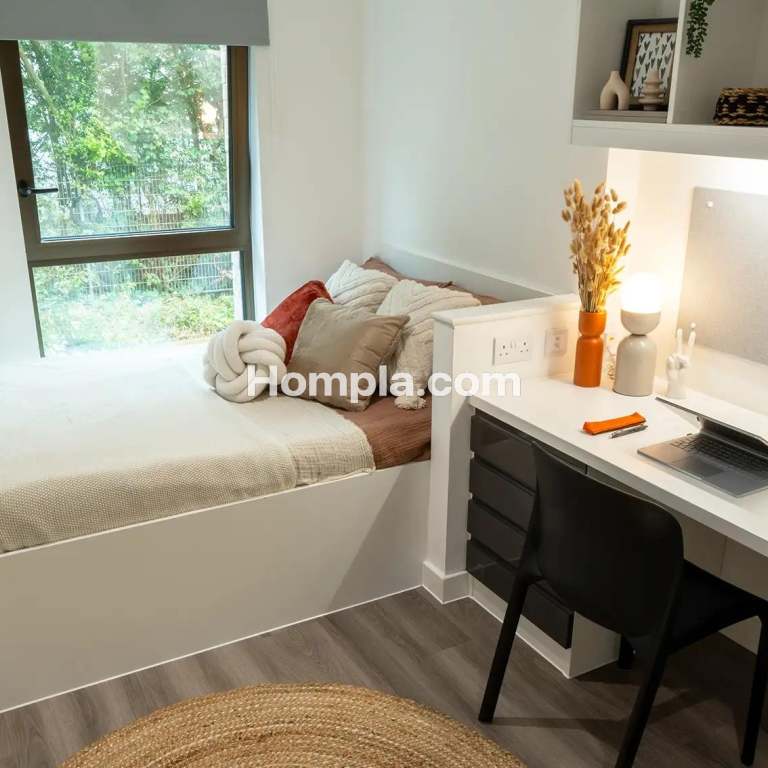 room picture